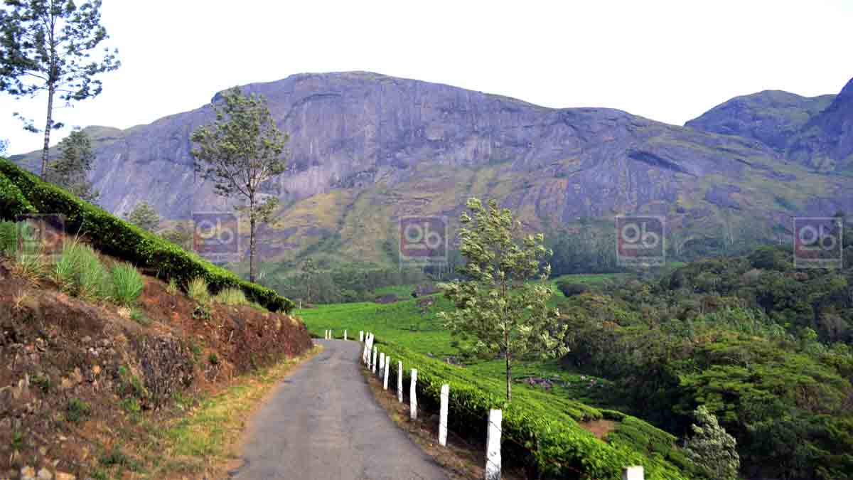 anamudi munnar