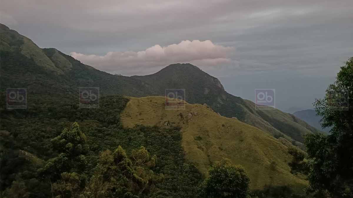 munnar visiting places