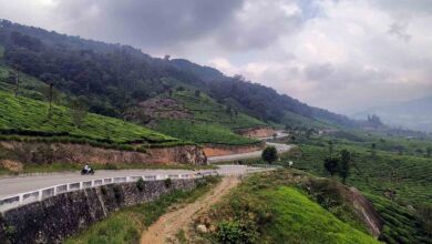 munnar gap road