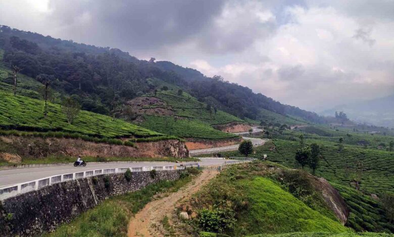 munnar gap road